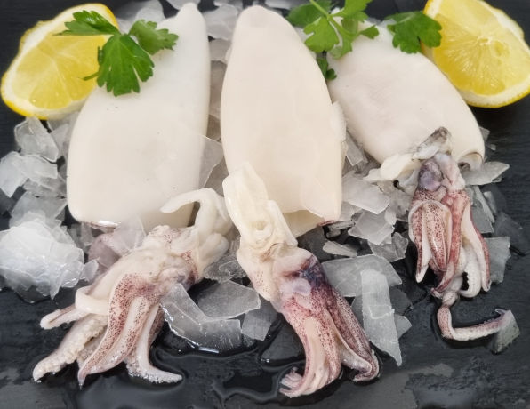Peninsula Seafoods Squid